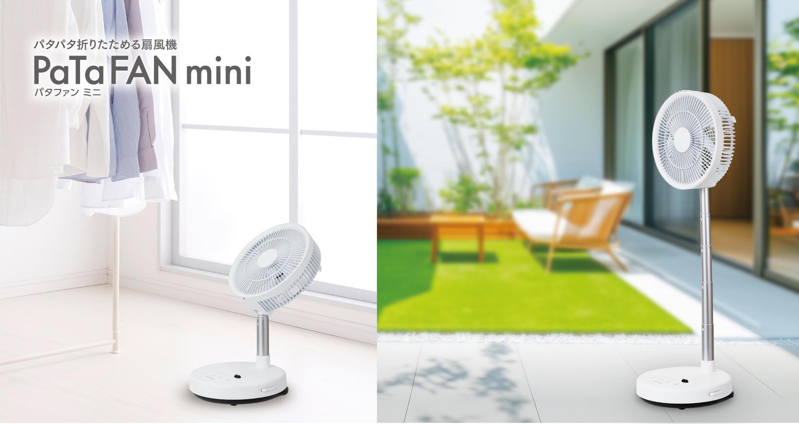 BFDF003WH